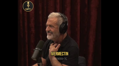 Interview de Mel Gibson vostfr