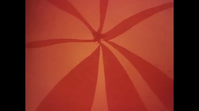 Le avventure dell Ape Magà - 77 - Il volo della farfalla - Jap