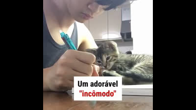 UM ADORAVEL INCOMODO !!!
