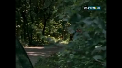 Il commissario Rex 08x05