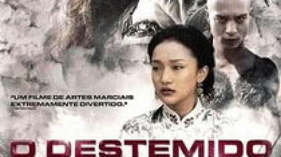 O Destemido 2010 - Dublado