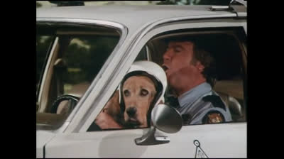 511.Jeux.De.Billard.Jeux.De.Hazzard.