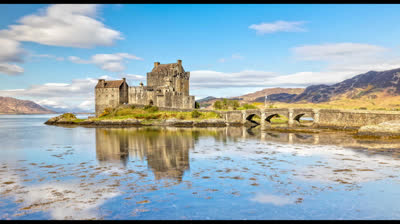 Chouette musique avec chouette image