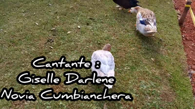 Novia Cumbianchera Dos gotitas canta Giselle Romina Castillo Vargas seudónimo Giselle Darlene Novia