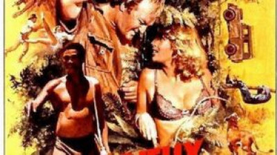 Les dieux sont tombés sur la tête 1980 VF.