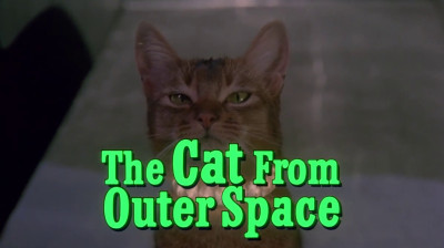 Le chat qui vient de l'espace_1978
